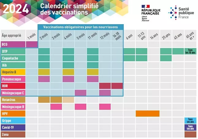 calendrier simplifié des vaccinations