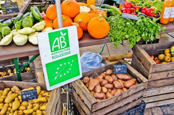 Acheter BIO : quels bienfaits pour ma santé ? 