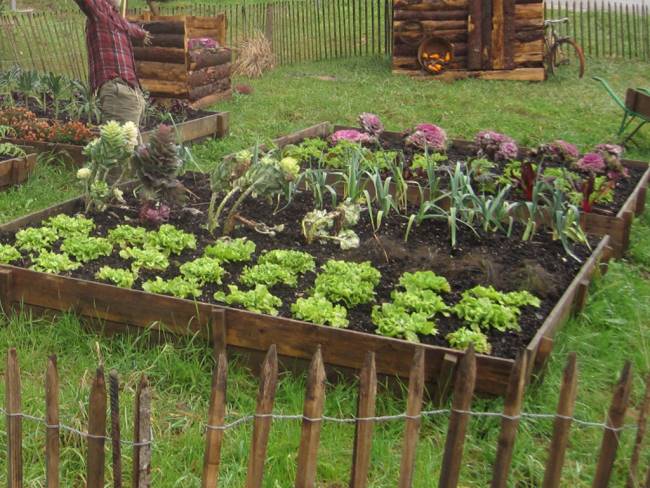 Les bonnes raisons de faire son propre jardin